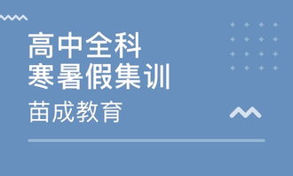 天津高中全科辅导寒暑假集训班价格 高中辅导哪家好 天津苗成教育 淘学培训